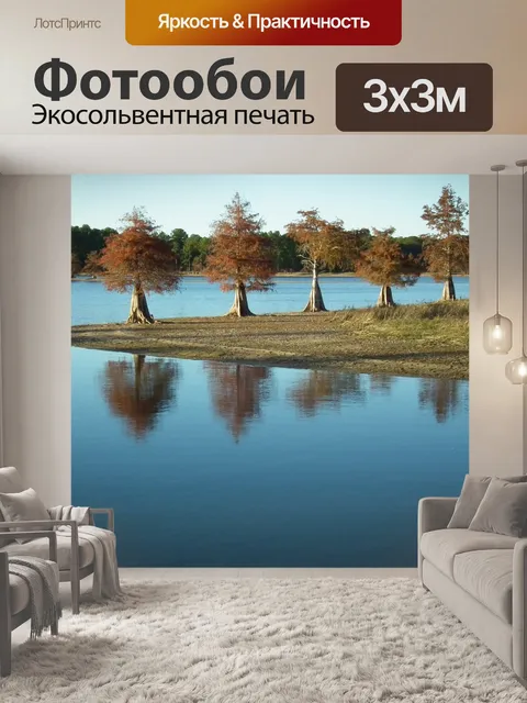 Фотообои Кипарис
