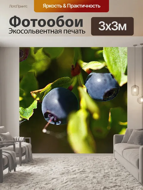 Фотообои Ягоды