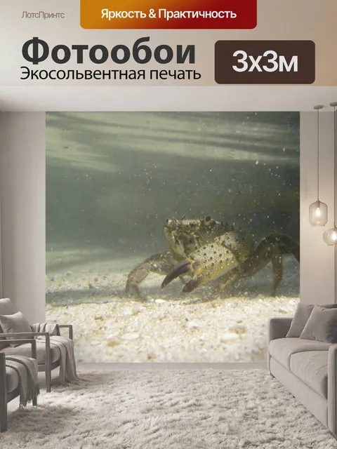 Фотообои Краб подводных