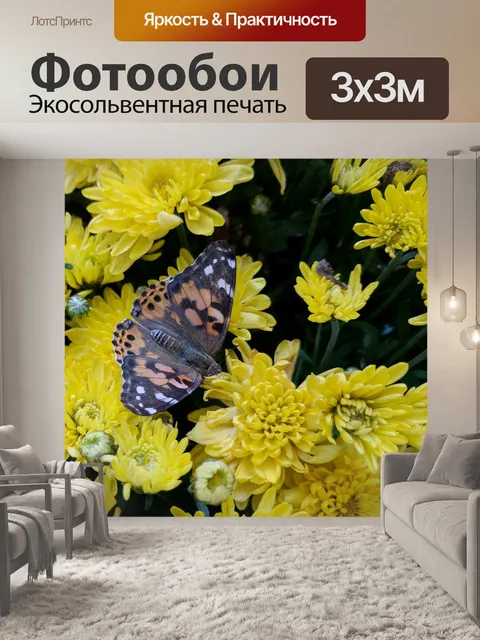 Фотообои Бабочка монарх