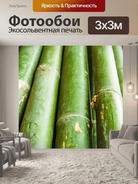 Фотообои Бамбуковый лес природа фон