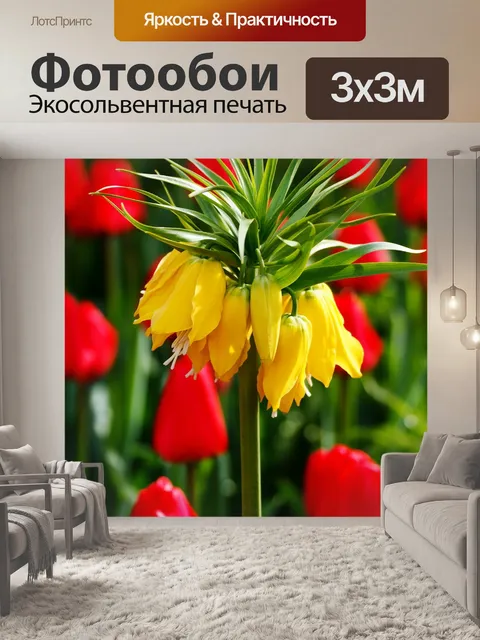 Фотообои Красный