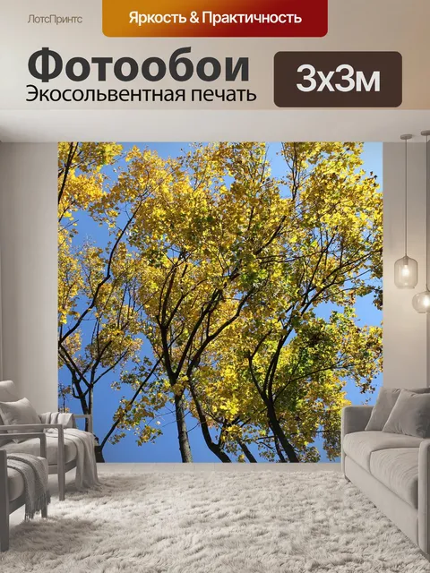 Фотообои Осенние листья