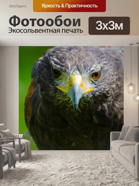 Фотообои Птица