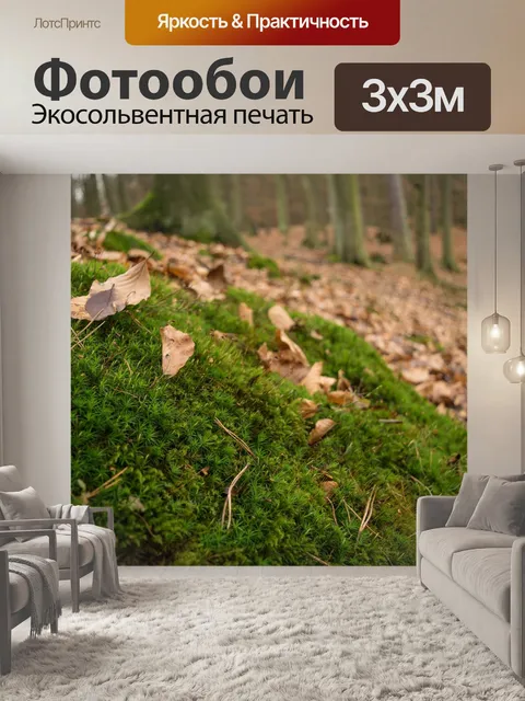 Фотообои Мох