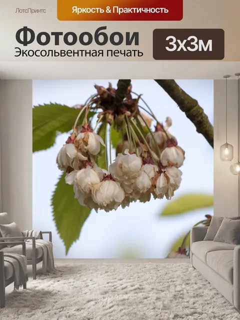 Фотообои Цветут цветы