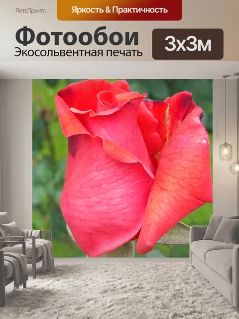 Фотообои Цветы