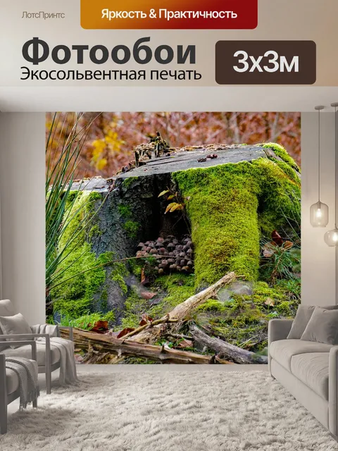 Фотообои Пень