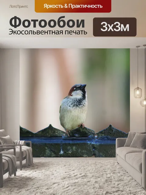 Фотообои Воробей