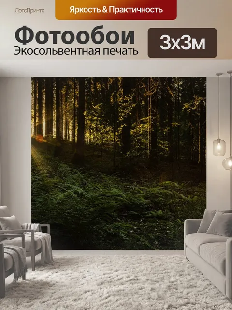 Фотообои Заход солнца