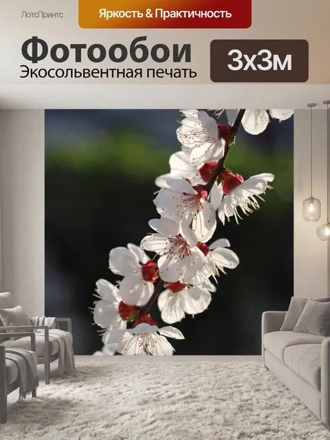 Фотообои Цветок
