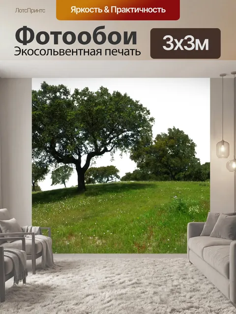 Фотообои Луг