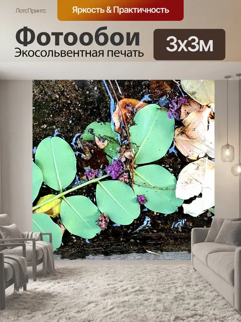 Фотообои Опавшие листья красочный фон