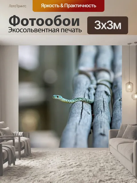 Фотообои Линия