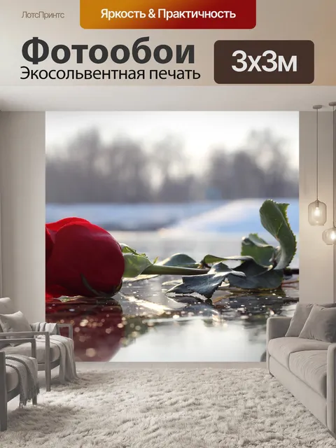 Фотообои Красная роза на льду