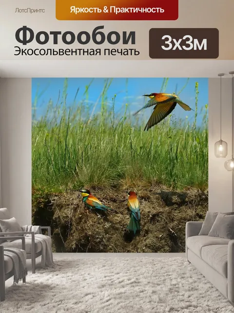 Фотообои Природа