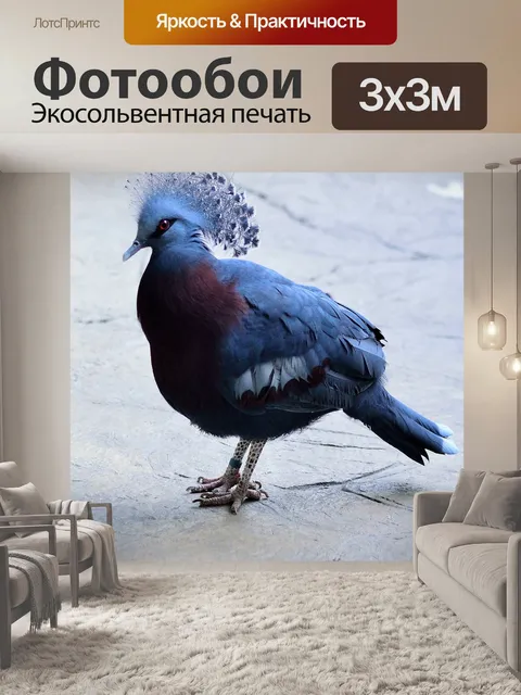Фотообои Виктория коронован голубь