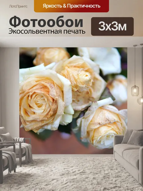 Фотообои Розы