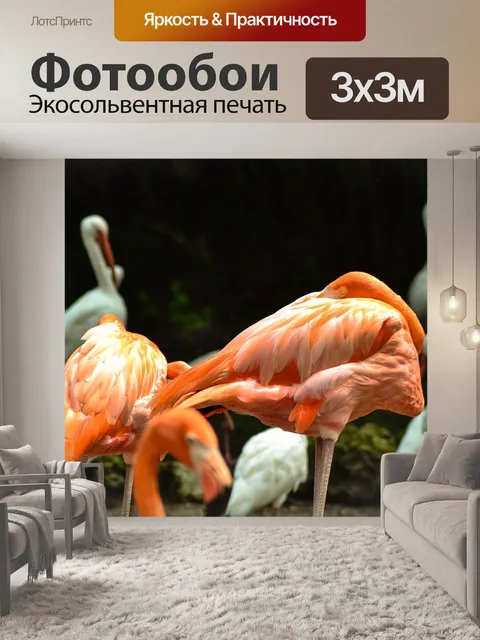 Фотообои Фламинго