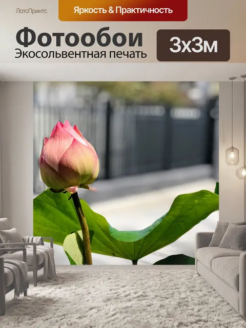Фотообои Лотос