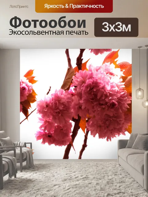 Фотообои Вишня В Цвету