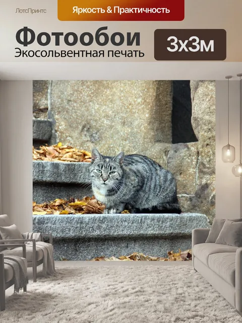 Фотообои Лестница