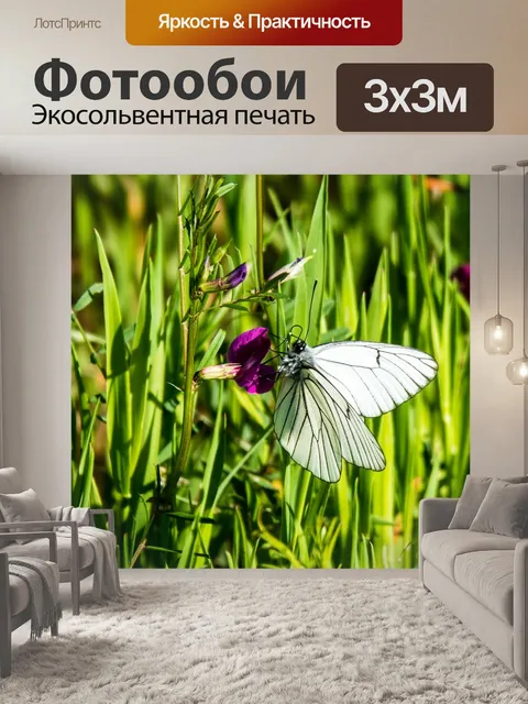 Фотообои Дерево белая бабочка