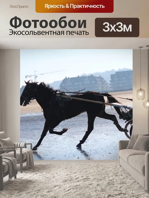 Фотообои Лошадь