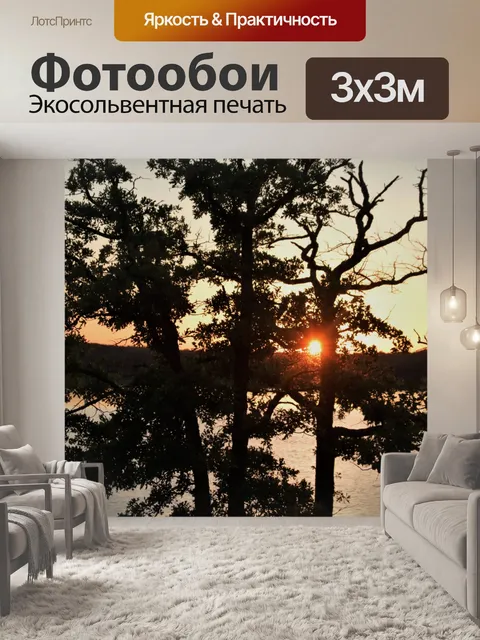 Фотообои Закат на озере сквозь деревья