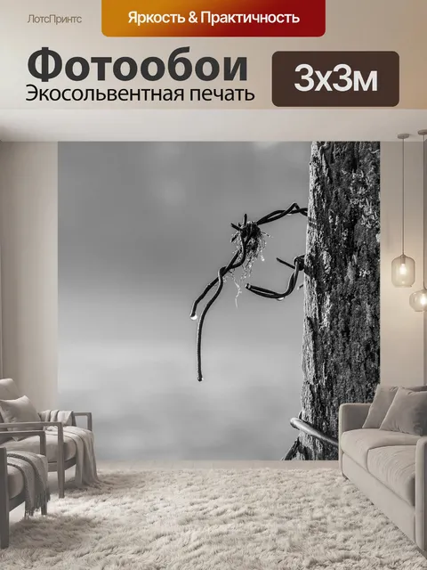 Фотообои Черное и белое