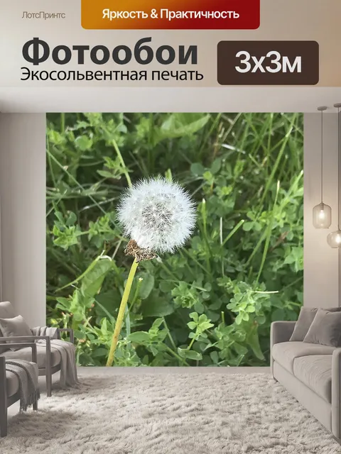 Фотообои Одуванчик