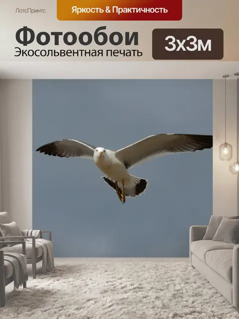 Фотообои Животное