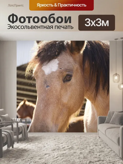 Фотообои Лошадь