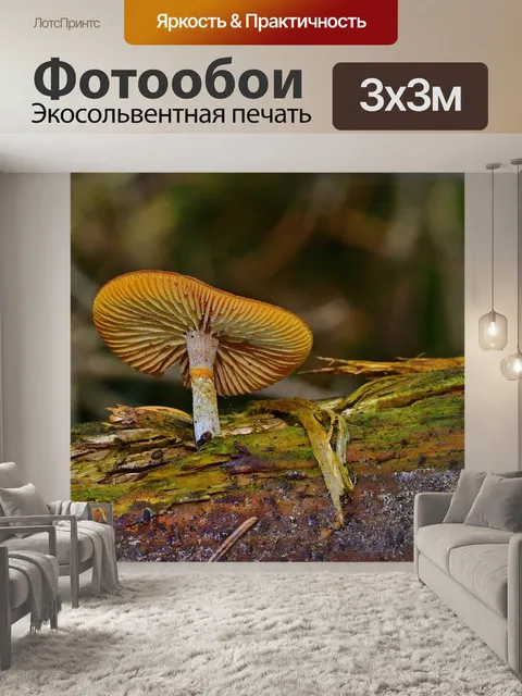 Фотообои Лес