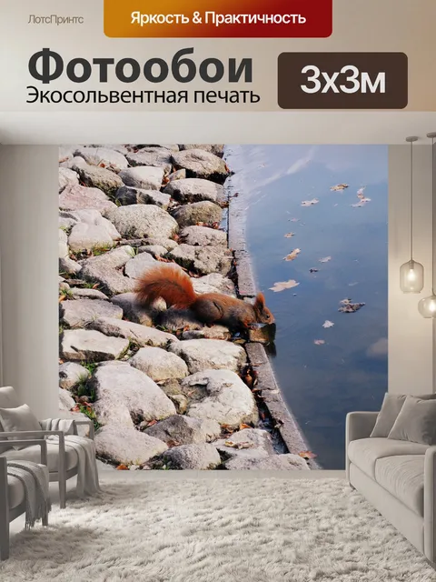 Фотообои Белка
