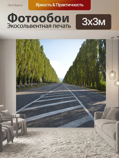 Фотообои Дорога