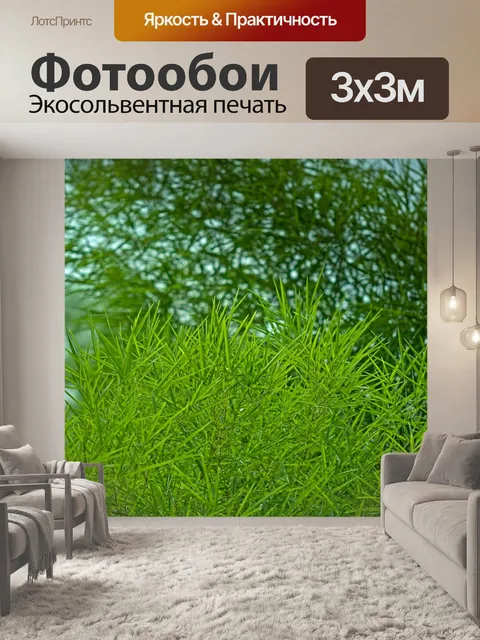 Фотообои Бамбук
