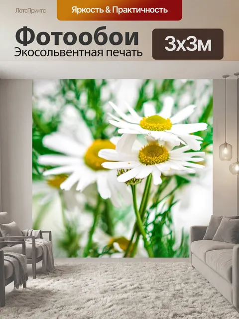 Фотообои Ромашка