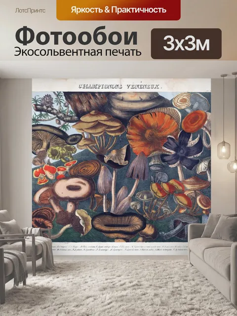Фотообои Винтажная иллюстрация чемпиона грибов