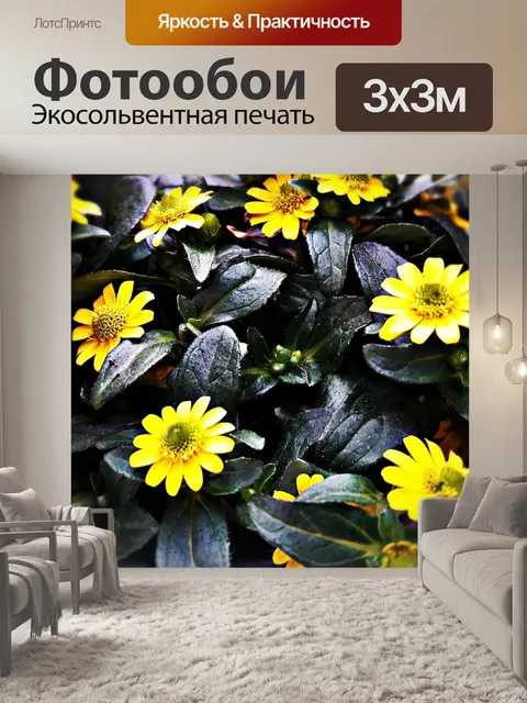 Фотообои Цветы