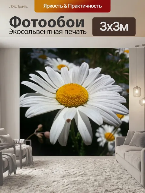 Фотообои маргаритка