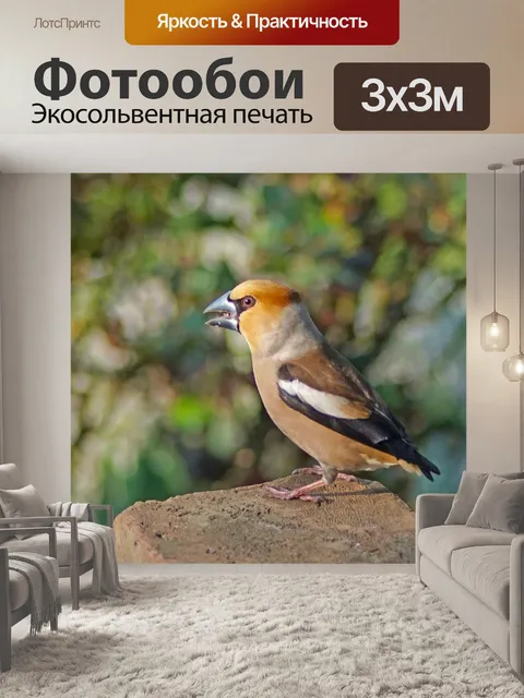 Фотообои Природа