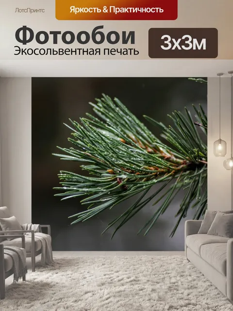 Фотообои Роса