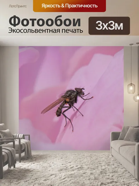 Фотообои Летать