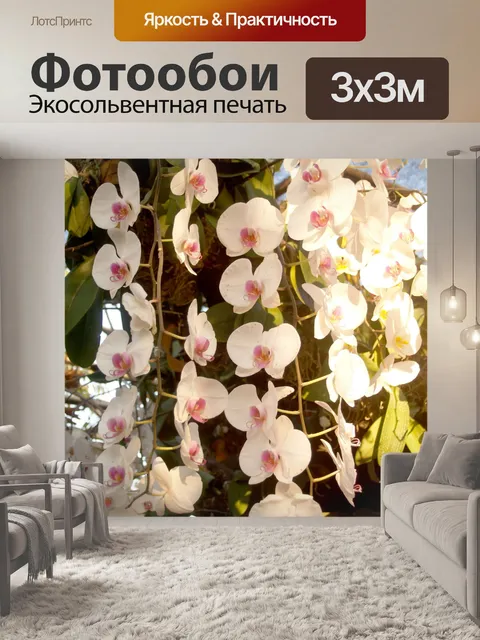 Фотообои Фото цветка орхидеи