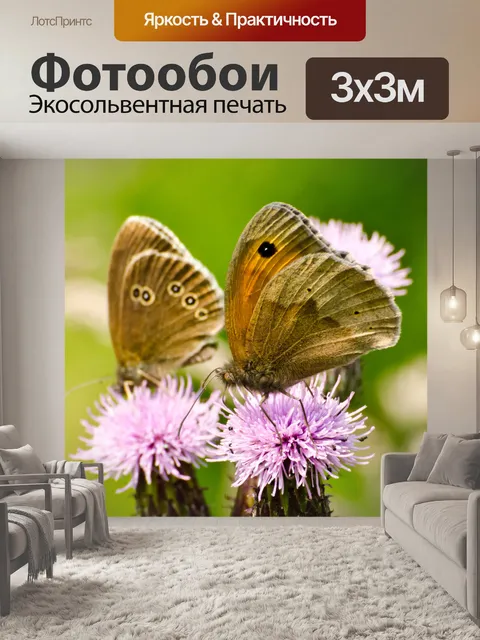 Фотообои Бабочка