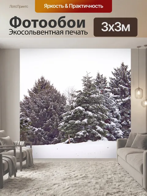 Фотообои Вечнозеленые растения