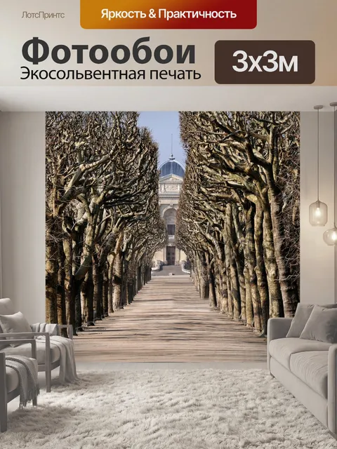 Фотообои Музей естественной истории