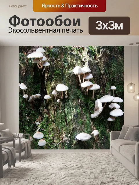 Фотообои Грибы