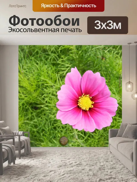 Фотообои Космос Соната 2018 3